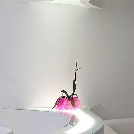 Absoluto Design