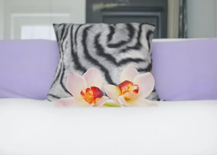 Szálloda Absoluto Design