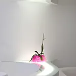 Absoluto Design Viana do Castelo