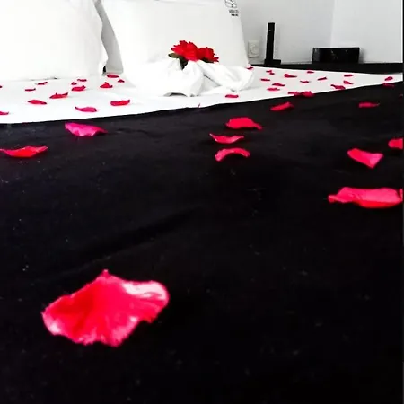 Absoluto Design 4*