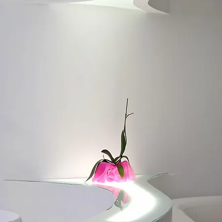 Absoluto Design فيانا دو كاستيلو