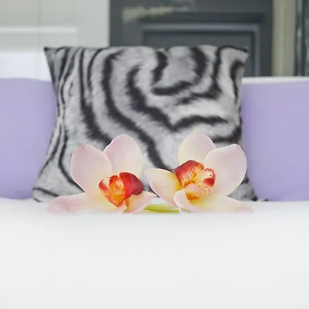 Hotell Absoluto Design