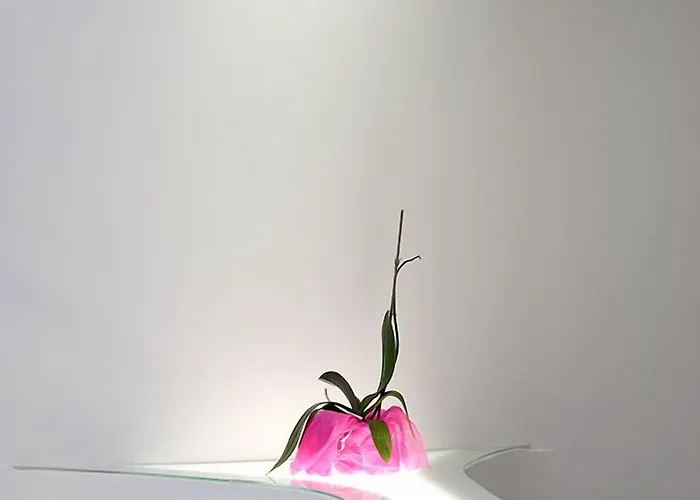 Absoluto Design ויאנה דו קסטלו