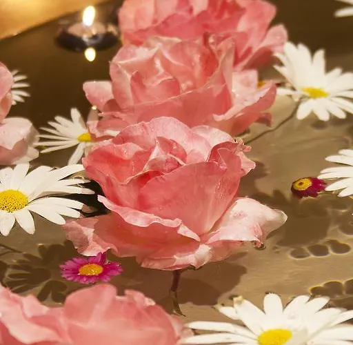 Absoluto Design Viana do Castelo