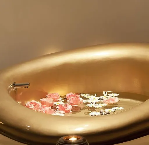 阿布索鲁托设计酒店 维亚纳堡